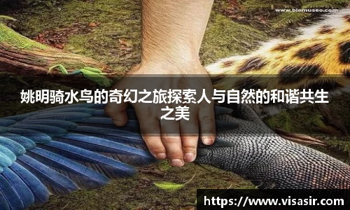 姚明骑水鸟的奇幻之旅探索人与自然的和谐共生之美
