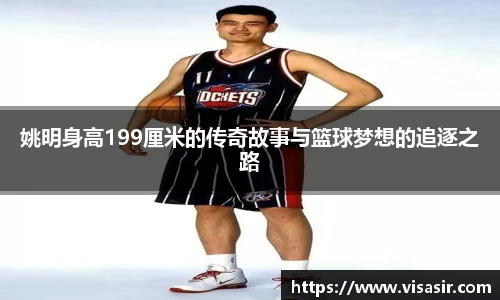 姚明身高199厘米的传奇故事与篮球梦想的追逐之路