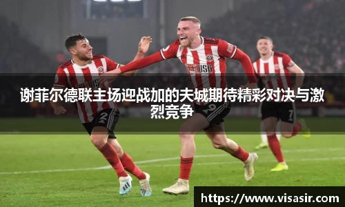 乐竞体育网址
